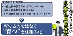 -人と組織の成長を促す人事戦略- 中堅社員のマネジメント・部下育成手法の強化がエンゲージメントを高める